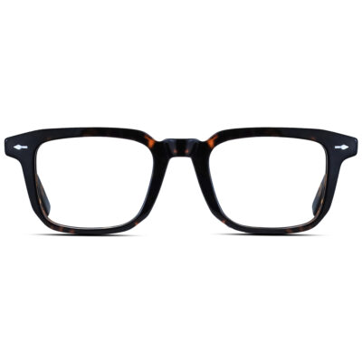 bold glasses frame